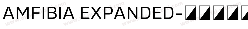 AMFIBIA EXPANDED字体转换